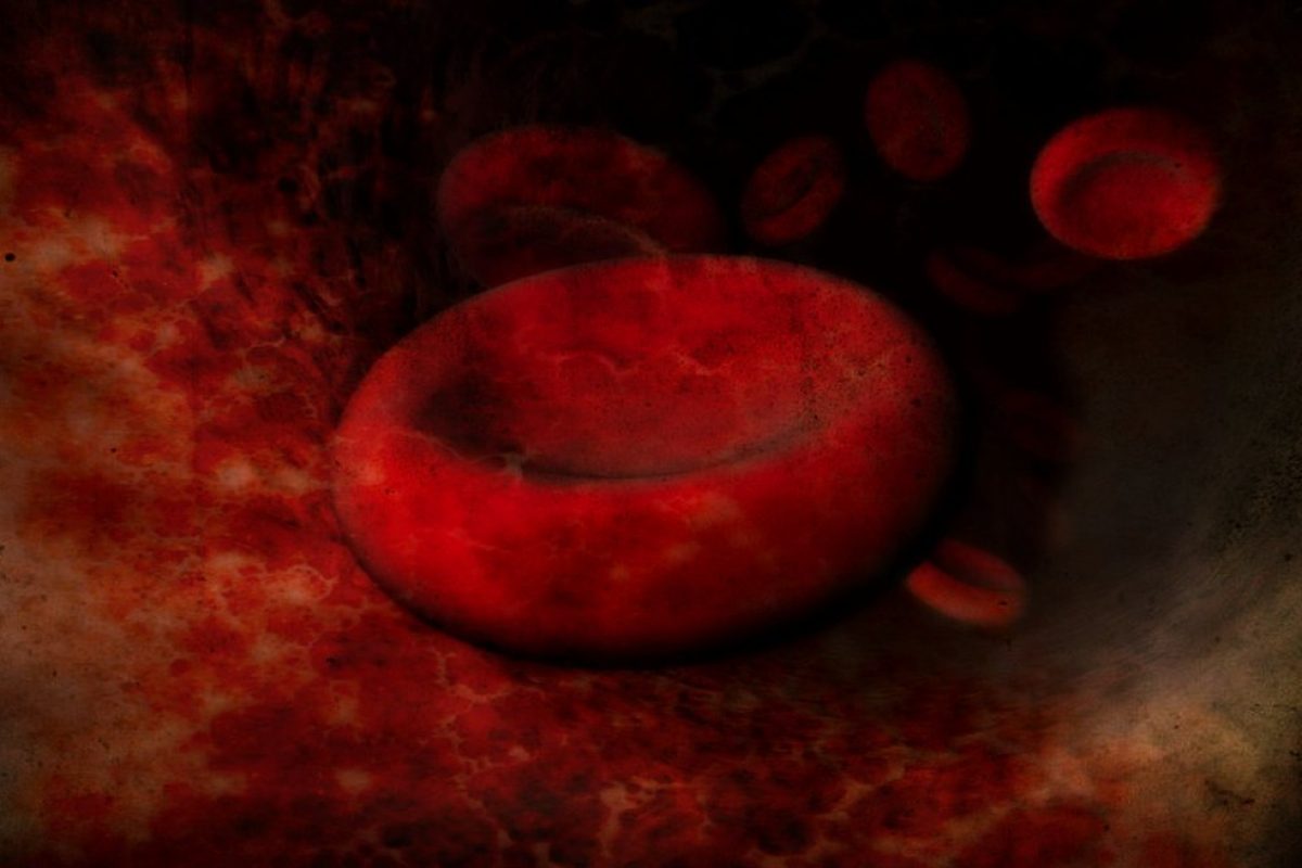 blood